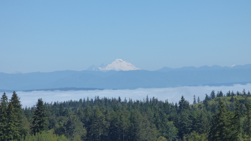 Illustration for article titled Pacific NW pics